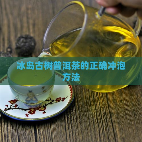 冰岛小树茶如何喝