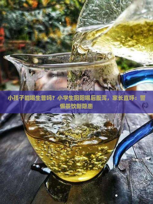 小孩子能喝生普吗