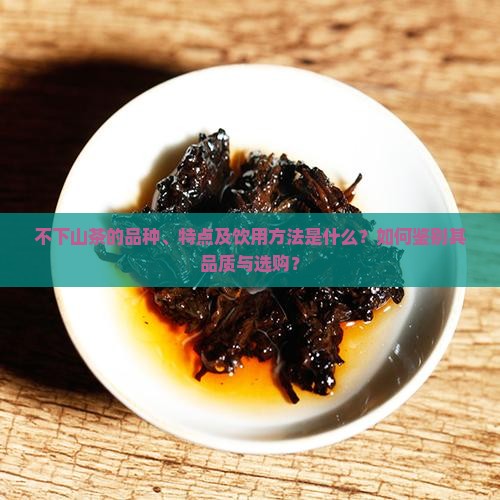 不下山是什么茶