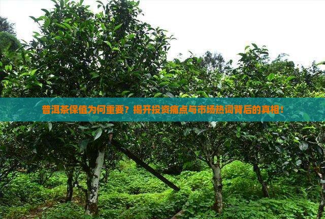 普洱茶保值是什么意思