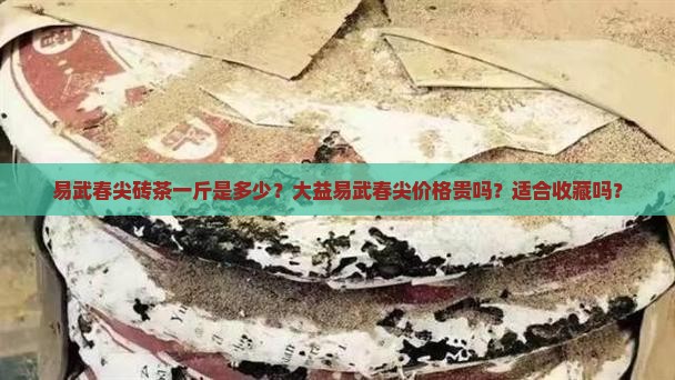 易武春尖砖茶一斤大益易武春尖