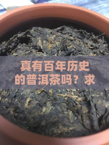 有百年普洱茶吗