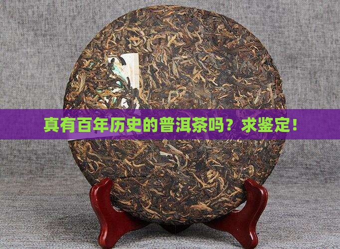 有百年普洱茶吗