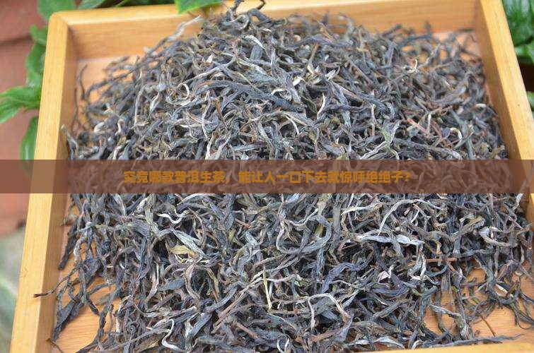 哪款普洱茶生茶好喝