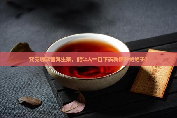 哪款普洱茶生茶好喝