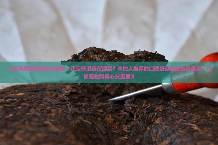 普洱茶去哪买正宗