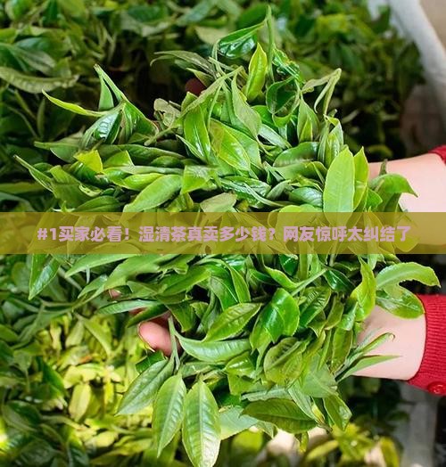 湿清茶的价格多少钱