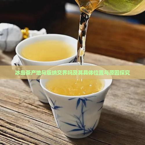 冰岛茶产地与版纳交界吗