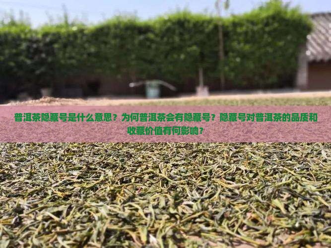 普洱茶为什么隐藏号