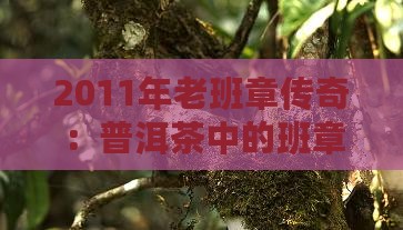 2011年蓝印老班章