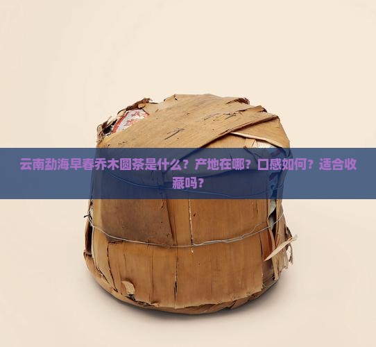 云南勐海早春乔木圆茶