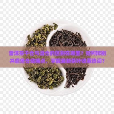 普洱茶中干仓与湿仓的分别