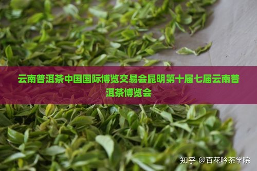 云南普洱茶国际博览会 云南普洱茶国际博览会