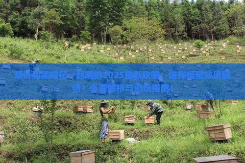 茶叶可以跟黑枸杞一起喝吗