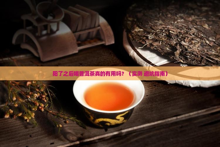 阳了之后可以喝普洱茶吗 阳了之后可以喝普洱茶吗