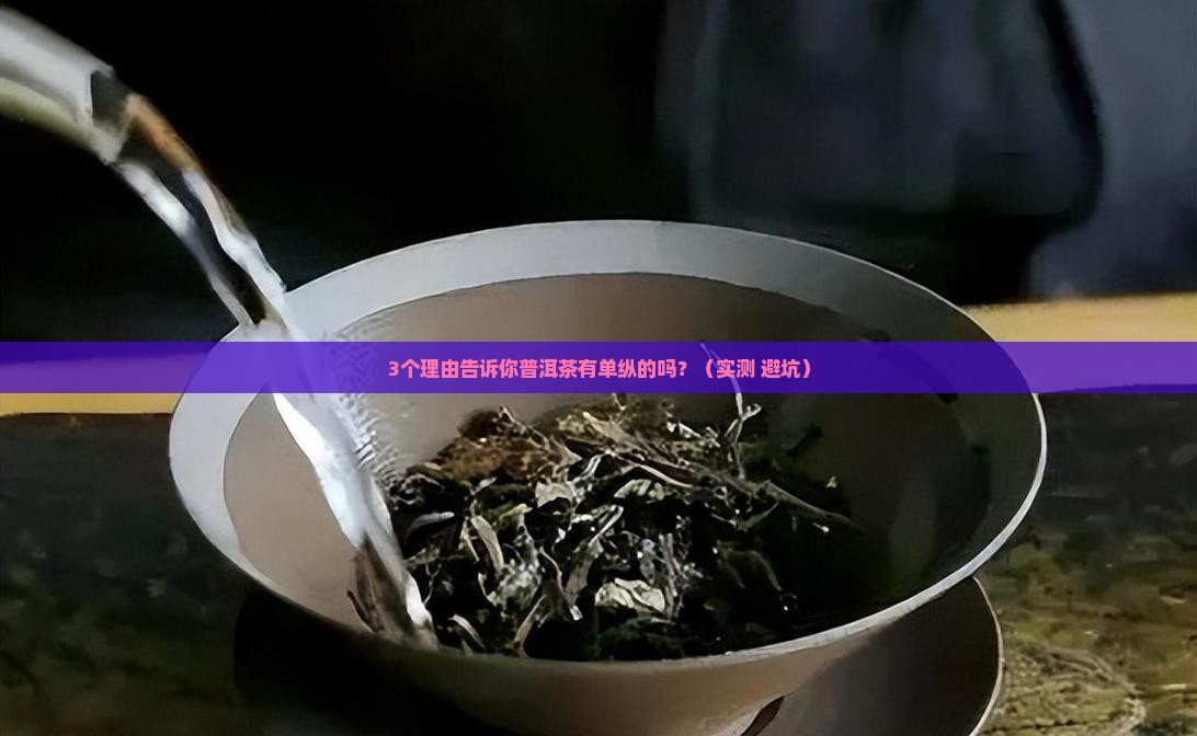普洱茶有单纵的吗