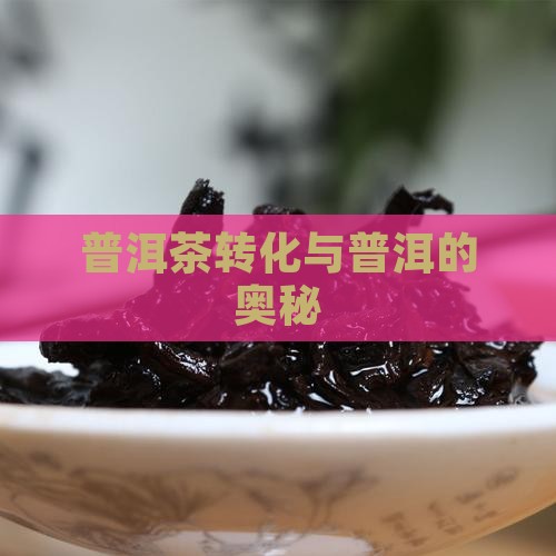 普洱茶转化原因