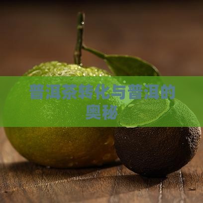 普洱茶转化原因