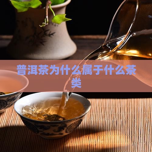 普洱茶称为什么茶类多