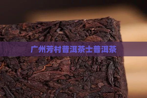 广州芳村普洱茶士
