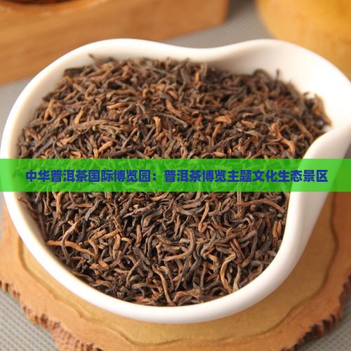 中华普洱茶国际博览园在哪里