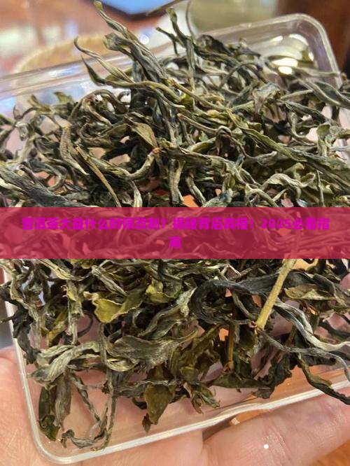 普洱茶大益什么时候改制