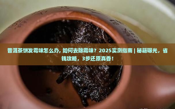 普洱茶饼发霉味怎么办
