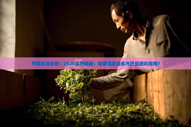 手脚冰凉能喝普洱茶不