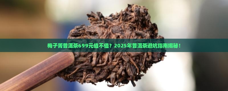 梅子箐普洱茶699元
