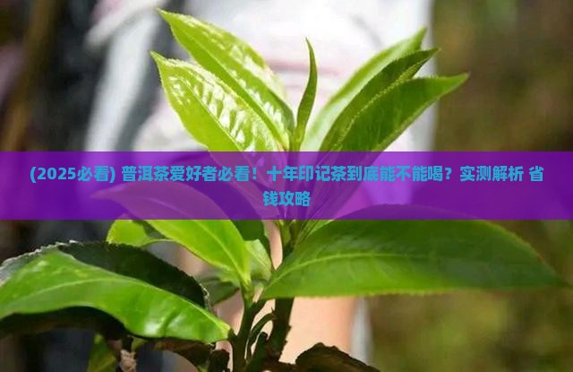 普洱茶印记十年能喝吗