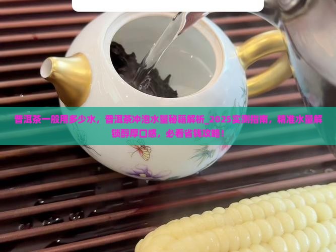 普洱茶一般用多少水