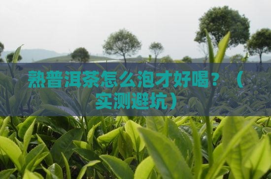 熟普洱茶用什么冲泡的好喝