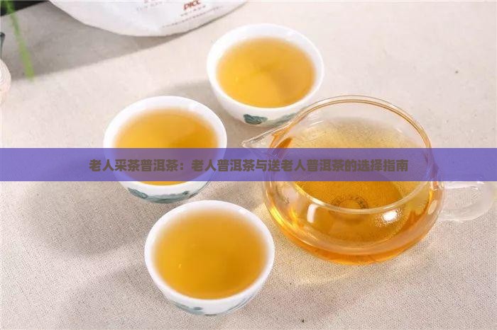 老人采茶普洱茶