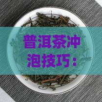 熟普洱茶出几次汤合适