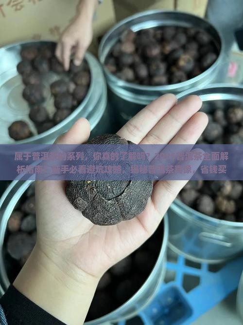 属于普洱茶的系列