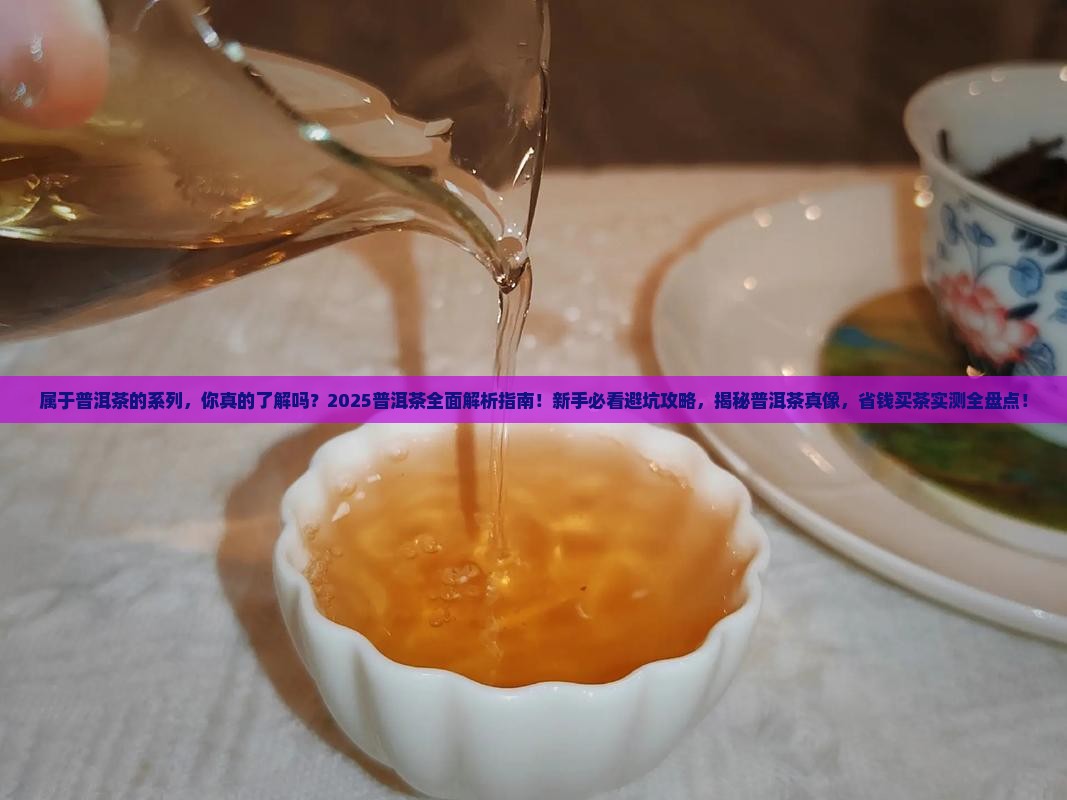 属于普洱茶的系列