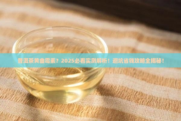 普洱茶里有黄曲霉素