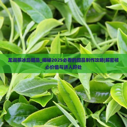 龙润茶冰岛甜品