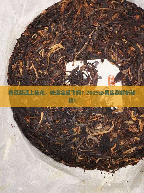 普洱茶和桂花能一起泡吗