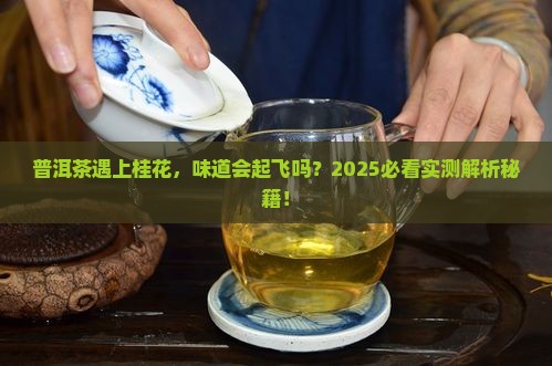 普洱茶和桂花能一起泡吗