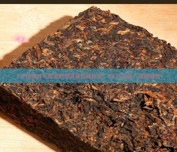 普洱茶最大的最大的品牌