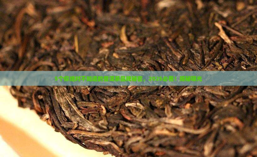 普洱茶最大的最大的品牌