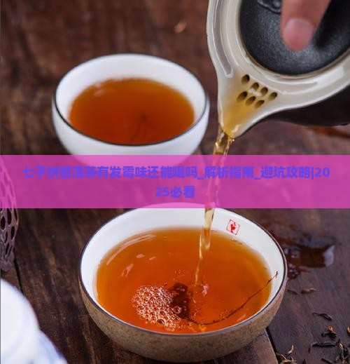 七子饼普洱茶有发霉味还能喝吗
