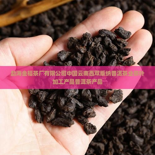 勐海金福茶厂的产品