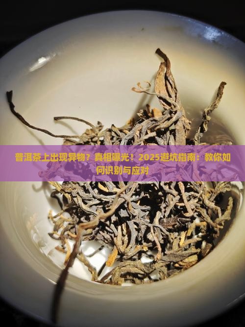 普洱茶上出现异物