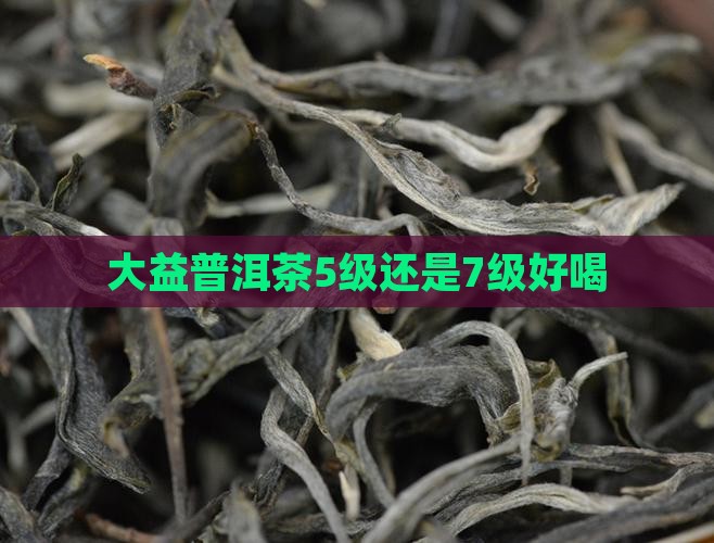 大益普洱茶5级还是7级好