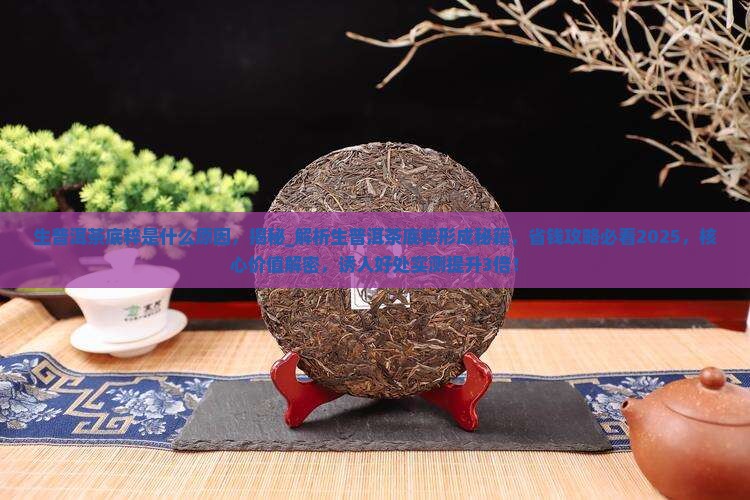 生普洱茶底粹是什么原因