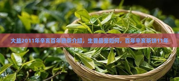 大益2011年辛亥百年熟茶