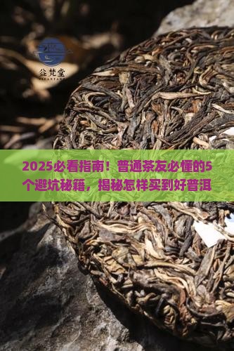 怎样买到好普洱茶