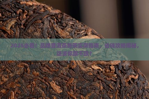 品牌普洱茶新茶